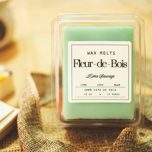 Un primer plano del wax melts en forma de Barra de chocolate hecha de cera de soja verde pálido Fleur-de-Bois LIMA SAUVAGE de Fleur-de-Bois, con aromas de lima, coco y almizcle, etiquetada y descansando sobre arpillera con un fondo cálido y suave.