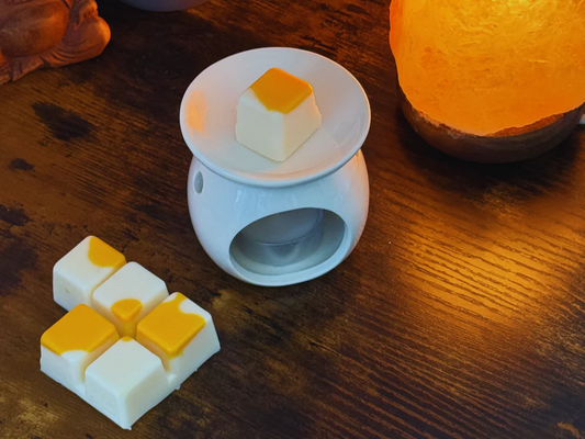 ¿Qué son los wax melts?