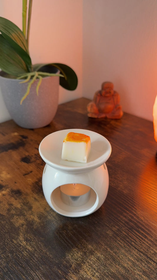 Wax Melts Barra de chocolate PURA FRUTA