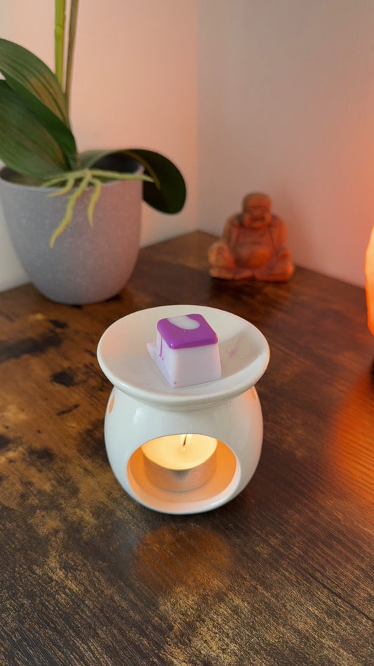 Wax Melts Barra de chocolate FRESCURA DE LAVANDA