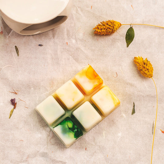 Wax Melts Barra de chocolate PURA FRUTA