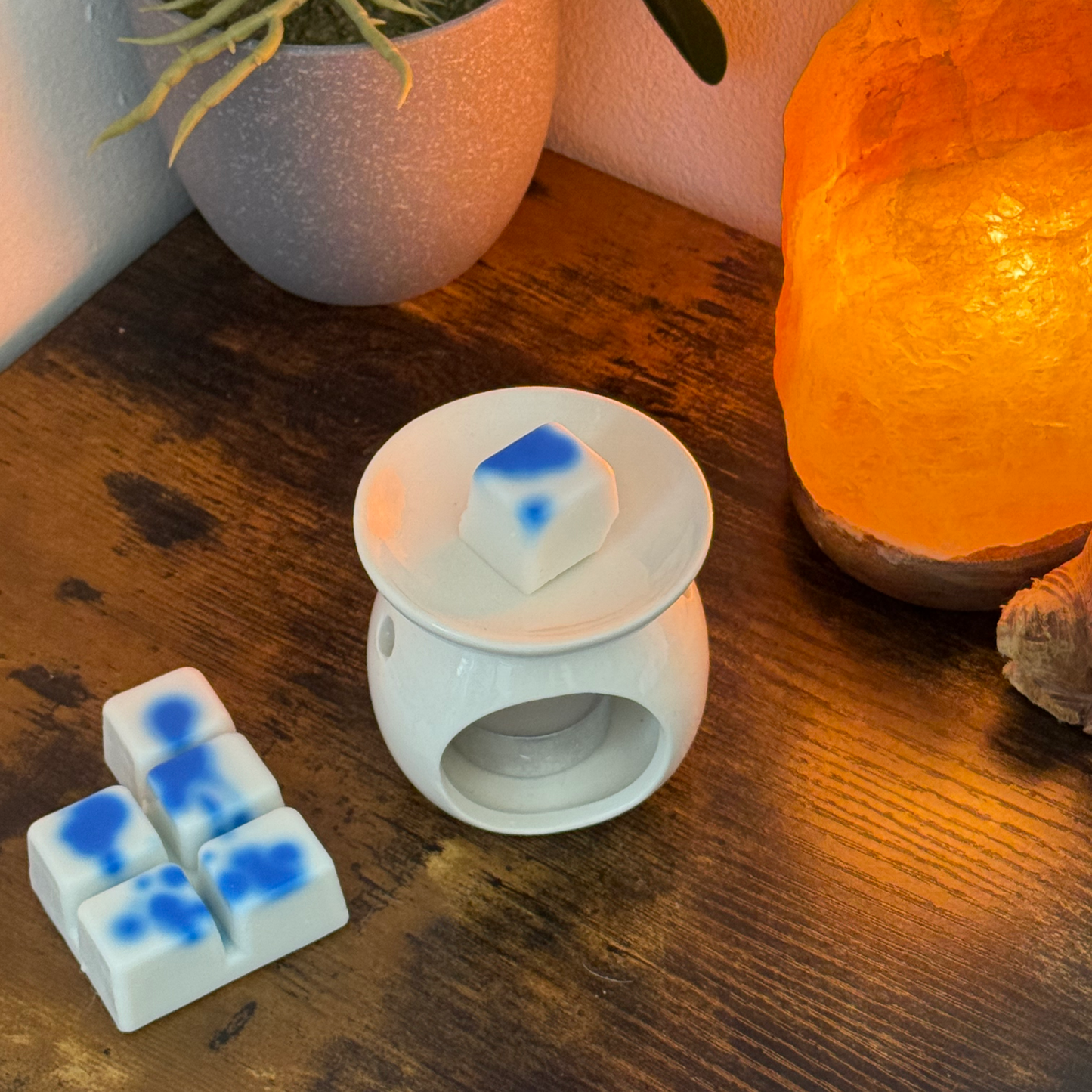 Un quemador de cera de cerámica blanca sostiene un Wax Melt en forma de barra de chocolate Fleur-de-Bois PERLA DE POMA en la parte superior, con más cera de soja Fleur-de-Bois cerca; una lámpara de sal incandescente y una planta en maceta completan este aromático regalo.